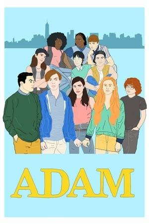 Adam, an awkward teen, spends a summer with his older sister, who is part of New York City's lesbian and trans activist scene. He meets the girl of his dreams but can't figure out how to tell her he's not the trans man she thinks he is.
