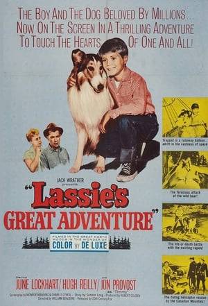 While in Canada Timmy and Lassie encounter a downed hot air ballonist. By accident they end up in the balloon which takes them into the wilderness. The young boy and his dog must find a way to survive even fending off a wild pig.