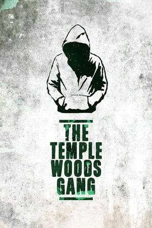 A retired military man lives in the Temple Woods housing project. Just as he’s burying his mother, his neighbour Bébé, who belongs to a gang of robbers from the area, is preparing to rob the convoy of a wealthy Arab prince.