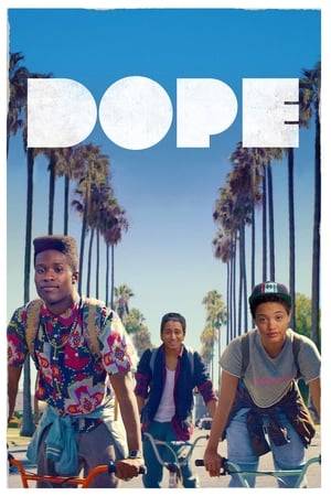 Malcolm is carefully surviving life in a tough neighborhood in Los Angeles while juggling college applications, academic interviews, and the SAT. A chance invitation to an underground party leads him into an adventure that could allow him to go from being a geek, to being dope, to ultimately being himself.
