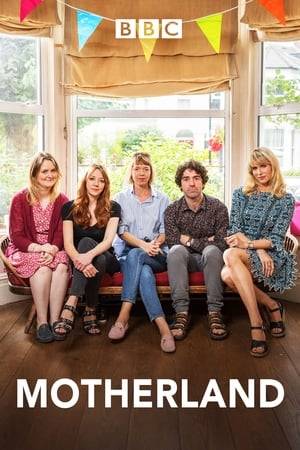 Sitcom about navigating the trials and traumas of middle-class motherhood, looking at the competitive and unromantic side of parenting.