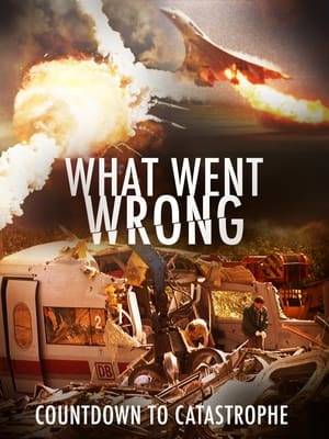 A two season series with 12 episodes that tell the in-depth story of high-profile catastrophic events while explaining the engineering failures that reveal what went wrong.