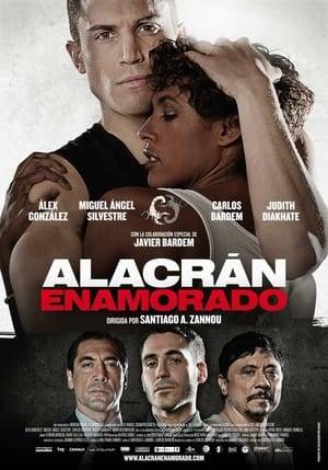 Julian (Álex González) and his friend Luis (Miguel Angel Silvestre) are two neighborhood boys who are part of a gang of violent neo-Nazis, led by Solis (Javier Bardem). After start training in a gym, Julian is transformed gradually thanks to the discipline of boxing, the nobility of his coach (Carlos Bardem) and the love of a young latin girl (Judith Diakhate). All of this takes away from the group, but Luis is not ready to accept that leave the "herd".
