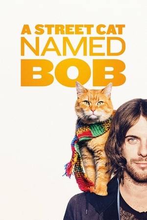 James Bowen, a homeless busker and recovering drug addict, has his life transformed when he meets a stray ginger cat.