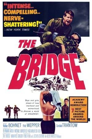 A group of German boys are ordered to protect a small bridge in their home village during the waning months of the second world war. Truckloads of defeated, cynical Wehrmacht soldiers flee the approaching American troops, but the boys, full of enthusiasm for the "blood and honor" Nazi ideology, stay to defend the useless bridge. The film is based on a West German anti-war novel of the same name, written by Gregor Dorfmeister.