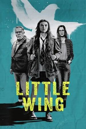 For 13-year-old Kaitlyn, her world threatens to collapse when she learns that her parents want to get a divorce, especially because it threatens the loss of the house they shared in Portland, which had always been Kaitlyn's home. The teenage girl has dark thoughts and lost interest in life. The breeding pigeons given to her by her mother's police colleague don't make things any better. What should she do with the birds? Then her best friend Adam gives her an idea: they could steal the very valuable racing pigeon named Granger from the local breeder Jaan Vari, sell it and use the proceeds to pay off the mortgage on her family's home. The plan initially works, but then everything seems to go wrong and Kaitlyn loses her footing even more. But surprisingly, the old man who was robbed takes care of the girl and a bond develops between the two, which ultimately leads her to a new outlook on life.