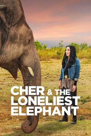"The World's Loneliest Elephant" Kaavan will finally experience freedom, thanks to his biggest champion, the one & only Cher.  We'll follow Cher, Free The Wild, Four Paws International, and Kaavan on every step of the trip.