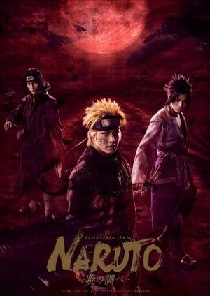 After parting with Sasuke at the Final Valley, Uzumaki Naruto has been away from the village of Konohagakure to further his training. Two and a half years later, he finally returns to the village and takes his mission in Team Kakashi, then he finds the clue on Orochimaru. Naruto leads the team and heads to the place where Orochimaru is in order to save his friend Sasuke. However, little does he know that "Akatsuki" is seeking after his life to acquire the Nine-Tailed sealed in his body.
