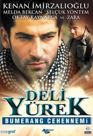 Yusuf Miroğlu and Zeynep travel to Diyarbakır in southeast Turkey to attend his best friend Cemal's wedding. While performing the traditional halay dance at the wedding, Cemal is killed by an assassin. Cemal's widowed wife Leyla pleads Yusuf to find the people behind the murder and bring them to justice. Yusuf finds himself caught in a struggle against the PKK and other terrorist groups in the area.