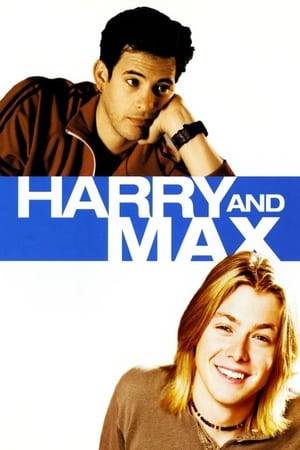 Harry is a 23-year-old former boy band idol who is watching his younger brother Max, 16, follow in his footsteps. Harry has detoured on his way to a Japanese concert tour to escort Max on a long-promised camping adventure. Their trip begins on a note of camaraderie but quickly turns serious as old wounds resurface, forcing them to come to terms with their dysfunctional past--Harry's drinking problems, his disconnection from the family, and, most of all, his relationship with Max and the emotional dependency that keeps them from moving into adulthood.