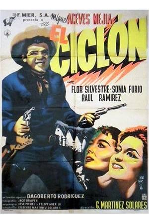 Cowboy revenge-drama, paired with a love triangle between two Mexican fellers and a rather unpleasant gringa.