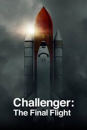 Engineers, officials and the crew members' families provide their perspective on the 1986 Space Shuttle Challenger disaster and its aftermath.