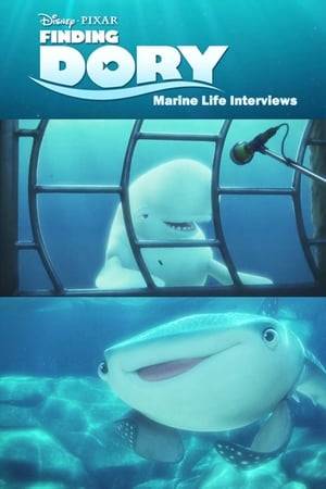 Interviews with the animals at the Marine Life Institute about their experiences with Dory.