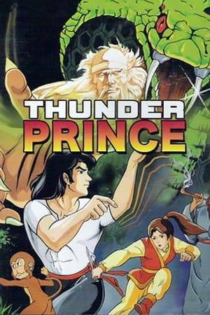 A young boy, whose father, Blue Thunder, was murdered by the villainous "Black Mantis." After Black Mantis kills his father and steals the family fighting style, Blue Thunder's son takes on the name "Thunder Prince" and vows revenge.
