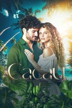 Cacau is an engaging saga of family secrets, clandestine loves and sacrifices, all sweetened by the irresistible taste of chocolate and the magic of cocoa plantations.
