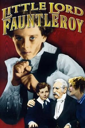 An American boy turns out to be the heir of a wealthy British earl. He is sent to live with the irritable and unsentimental aristocrat, his grandfather.