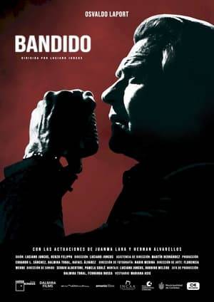 Roberto Benítez, "Bandido", is a popular singer who’s about to leave his career behind. What do you do with your dreams when dissatisfaction has settled in every bone? A random event leads the protagonist to reunite with old friends and gives his existence and unexpected breath of life.