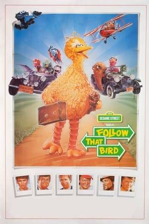 Big Bird is sent to live far from Sesame Street by a pesky social worker, who thinks it would be better for him to live with other birds. Unhappy, Big Bird runs away from his foster home, prompting the rest of the Sesame Street gang to go on a cross-country journey to find him.