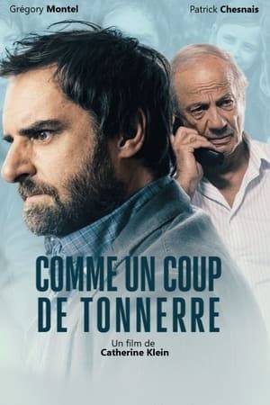 Paul Vidal is a country doctor in a small town. A husband and father, he seems to have all he needs to be happy. Yet he suffers a serious nervous breakdown, making him unable to practise.