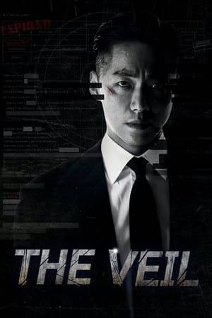 Han Ji-hyuk, an NIS agent gone MIA, returns after one year to join a new team as he searches for his lost past.
