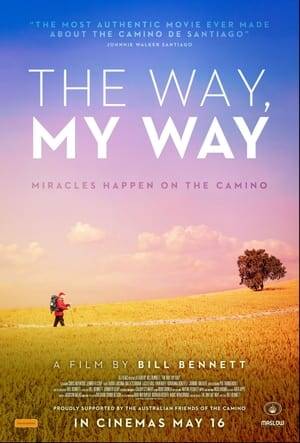 Based on the best selling Camino memoir of the same name by Bill Bennett, the film documents one man's journey along the Camino de Santiago, searching for meaning, not realizing it was right in front of him, one step at a time.