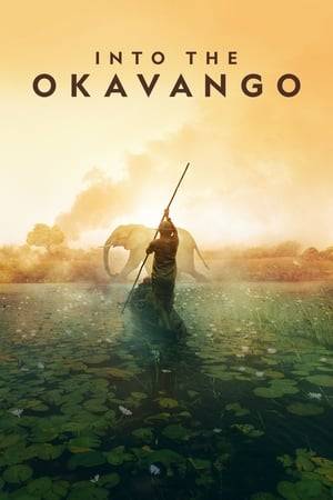 A passionate conservation biologist brings together a river bushman fearful of losing his past and a young scientist uncertain of her future on an epic, four-month expedition across three countries, through unexplored and dangerous landscapes, in order to save the Okavango Delta, one of our planet's last pristine wildernesses.