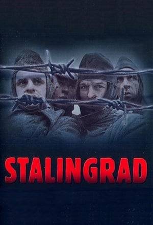 The Battle of Stalingrad, which cost the lives of at least a million German soldiers, Red Army troops and Soviet civilians, was the bloodiest of the decisive battles in the "war of extermination" which Hitler had unleashed. This three-part documentary, employing previously unreleased film footage and brutally frank statements from survivors on both sides, explains exactly how the catastrophe came about and describes the gruesome consequences of the battle for the soldiers and the inhabitants of the city.