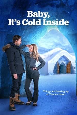 When a travel agent up for a promotion is directed to forgo her tropical vacation to instead visit the world-famous Ice Hotel, she discovers her sacrifices are more than compensated.