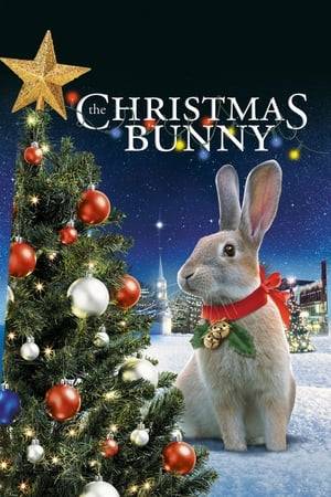 The Christmas Bunny tells the story of a lonely foster child (Sophie Bolen) who finds a lost, injured rabbit in the woods on Christmas Eve. The rabbit is nursed back to health by The Bunny Lady (Florence Henderson), who runs a rabbit rescue in an old barn behind her Michigan farmhouse.