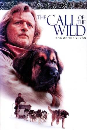 Jack London's classic story from 1903 about Buck, a dog kidnapped from his home in California and taken to the Yukon where he is mistreated until a prospector discovers him and relates to his situation. Although the two are bonded, Buck yearns to run free with the wild dogs in the wilderness.