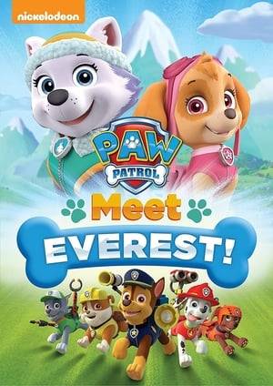 The PAW Patrol pups are back with daring new rescues and a new puppy crew member in PAW Patrol: Meet Everest! Fan-favorite Everest and high-flying rescue pup Skye embark on daring missions through the snow and ice to rescue their friends, protect stranded animals and guard their community!