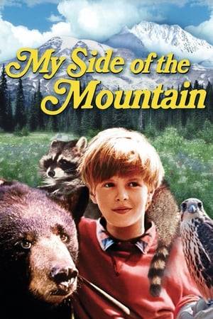 Film adaption of the novel by Jean Craighead George. A family movie made by Paramount Studios, the story revolves around thirteen-year old Sam Gribley (Teddy Eccles), a devotee of Thoreau, as many were back in the in 1960's. Sam decides to leave the city (set in Toronto) to spend a sabbatical in the Canadian woods and see if he can make it as a self-sufficient spirit after his parents promise a summer trip that doesn't pan out.