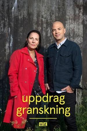 Swedish investigative journalism series known for the use of concealed cameras and microphones.
