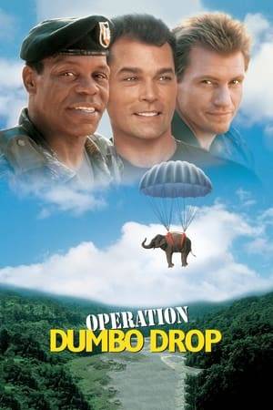 Five Green Berets stationed in Vietnam in 1968 grudgingly undertake the mission of a lifetime -- to secretly transport an 8,000-pound elephant through 200 miles of rough jungle terrain. High jinks prevail when Capt. Sam Cahill promises the Montagnard villagers of Dak Nhe that he'll replace their prized elephant in time for an important ritual. But for Capt. T.C. Doyle, the mission becomes a jumbo-sized headache!