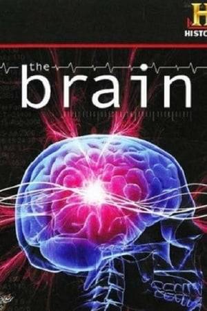 THE BRAIN is an astonishing voyage of discovery into our last biological frontier. Although today s computers can make calculations in one-100th of a second and technology can transport us outside the bonds of Earth, only now are we beginning to understand the most complex machine in the universe. Using simple analogies, real-life case studies, and state-of-the-art CGI, this special shows how the brain works, explains the frequent battle between instinct and reason, and unravels the mysteries of memory and decision-making. It takes us inside the mind of a soldier under fire to see how decisions are made in extreme situations, examines how an autistic person like Rain Man develops remarkable skills, and takes on the age-old question of what makes one person good and another evil. Research is rushing forward. We’ve learned more about the workings of the brain in the last five years than in the previous one hundred.