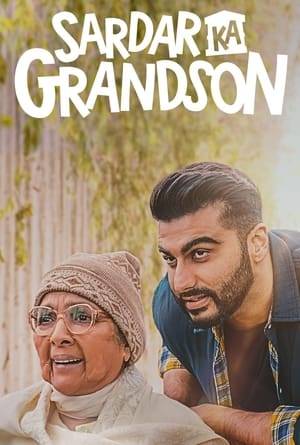 A devoted grandson's mission to reunite his ailing grandmother with her ancestral home turns into a complicated, comic cross-border affair.