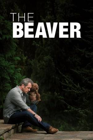Suffering from a severe case of depression, toy company CEO Walter Black begins using a beaver hand puppet to help him open up to his family. With his father seemingly going insane, adolescent son Porter pushes for his parents to get a divorce.