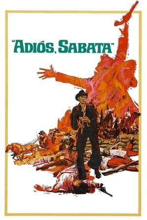 Set in Mexico under the rule of Emperor Maximilian I, Sabata is hired by the guerrilla leader Señor Ocaño to steal a wagonload of gold from the Austrian army. However, when Sabata and his partners Escudo and Ballantine obtain the wagon, they find it is not full of gold but of sand, and that the gold was taken by Austrian Colonel Skimmel. So Sabata plans to steal back the gold.