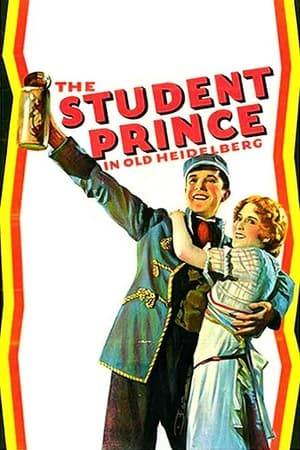 A young prince falls in love with a beautiful barmaid while at university in old Heidelberg.