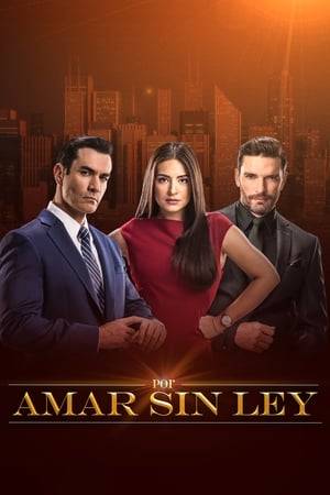 The story of two lawyers specializing in family law, Ricardo and Alejandra, that despite coming from two disappointments and being in a world where it seems that love loses strength, before so much divorce, they still have faith in finding true love.
