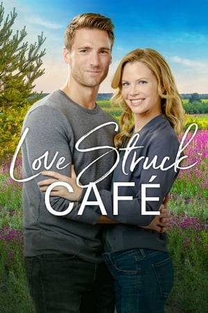 Megan Quinn, an aspiring architect, faces multiple tasks – developing her hometown lake into a commercialized entertainment center, forcing Mrs. Frances Figgins, her childhood mentor, out of her family’s home, and helping out at her family café after her father breaks his leg, all while also dealing with the return of her childhood sweetheart, Joe, who broke her heart.