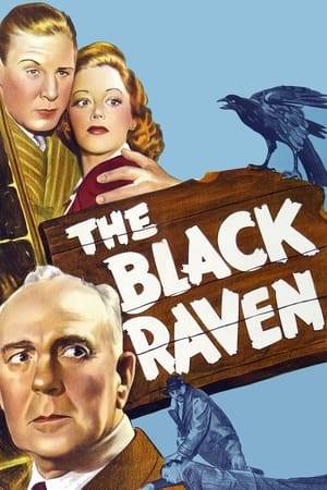 One dark and stormy night, an escaped convict, an embezzler,  a runaway daughter, her intended and her father, and a gangster take refuge in a remote inn called "The Black Raven" after the nickname of a second gangster who owns it; and murder ensues.