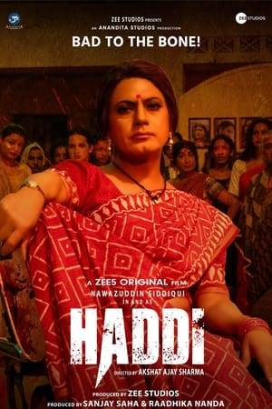 A transgender woman, Haddi, moves to Delhi to join a gang of transpeople and cross-dressers headed by an influential man. But is this move aspirational or driven by revenge?