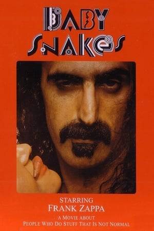 Rock artist Frank Zappa hosts a concert in New York City. This movie contains tons of on-stage footage, off-stage footage, and animation.