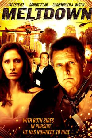 Meltdown is a action/adventure film about a FBI agent who goes deep undercover to bring down a crime syndicate. When his cover is blown the mob and FBI want him dead. His only hope of survival is a female agent who is willing to break the rules to help save his life. Out numbered and out gunned it is a deadly fight to the finish.