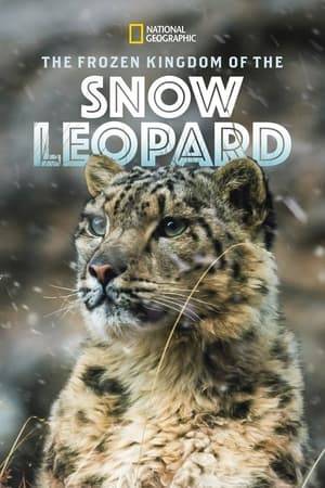 Join the big cats as we get up close and personal with their journeys through growing pains, adulthood, survival struggles and unfamiliar territories. These seven films follow the lives of some of the most formidable feline predators - lions, leopards, tigers and cheetahs in intimate detail.