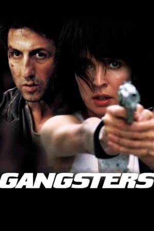 Franck Chaievski and Nina Delgado are two undercover detectives of a French special force trying to identify two corrupts members of the Paris Police Force. Franck is pretending to be a gangster and Nina a prostitute living with him, and involved in a robbery of a fortune in diamonds, having seven deaths and some injured persons.