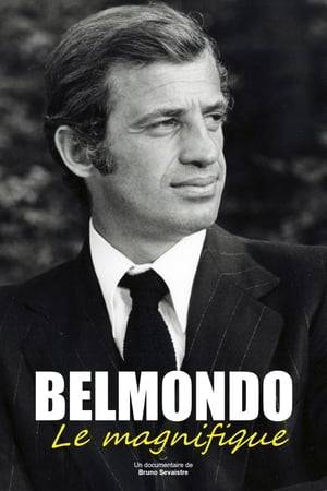 With more than 70 films and 160 million cumulative tickets in France, Jean-Paul Belmondo is one of the essential stars of French cinema.