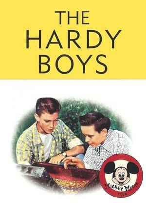 The sons of the great detective Fenton Hardy, Frank and Joe are eager to impress their father with their mystery solving skills.