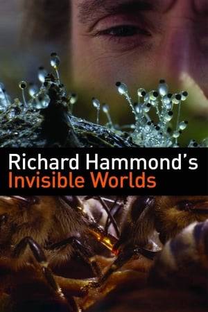 Using state-of-the-art technologies, Richard Hammond goes beyond the limits of the naked eye and explores the hidden secrets of the invisible world around us.